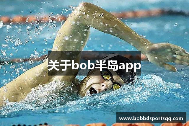 关于bob半岛app